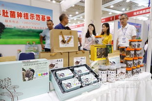 魚臺79家企業(yè)亮相省城，生態(tài)農(nóng)產(chǎn)品與保潔服務(wù)雙星閃耀